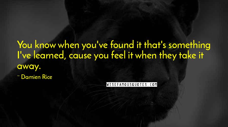 Damien Rice Quotes: You know when you've found it that's something I've learned, cause you feel it when they take it away.