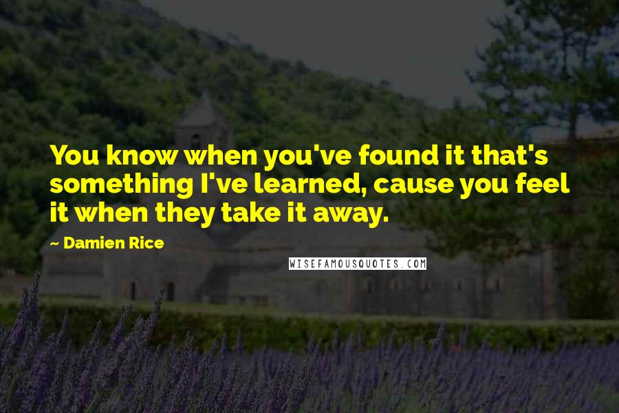 Damien Rice Quotes: You know when you've found it that's something I've learned, cause you feel it when they take it away.