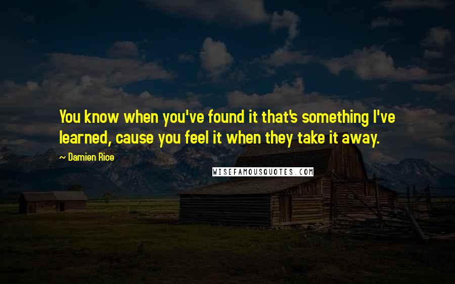 Damien Rice Quotes: You know when you've found it that's something I've learned, cause you feel it when they take it away.