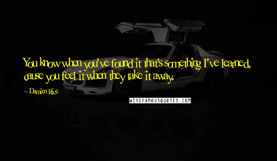 Damien Rice Quotes: You know when you've found it that's something I've learned, cause you feel it when they take it away.