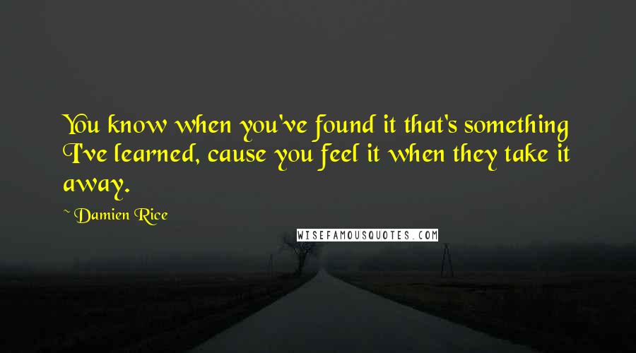 Damien Rice Quotes: You know when you've found it that's something I've learned, cause you feel it when they take it away.