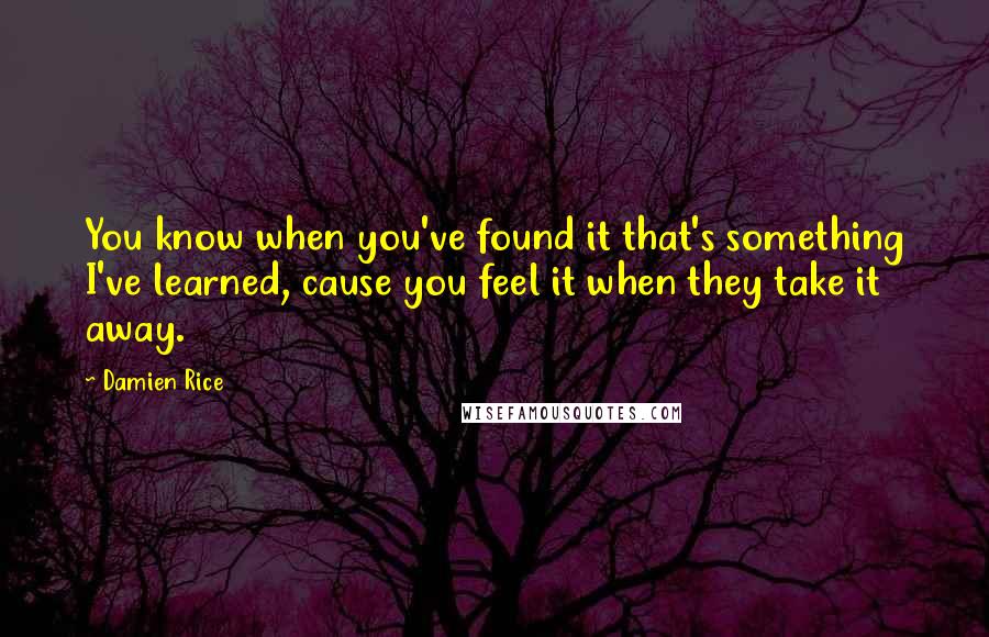 Damien Rice Quotes: You know when you've found it that's something I've learned, cause you feel it when they take it away.