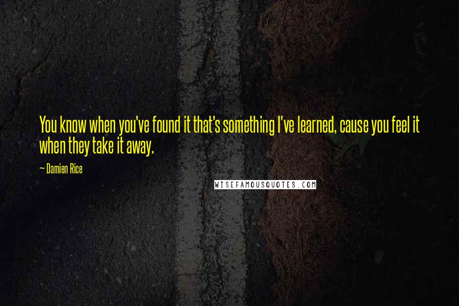 Damien Rice Quotes: You know when you've found it that's something I've learned, cause you feel it when they take it away.