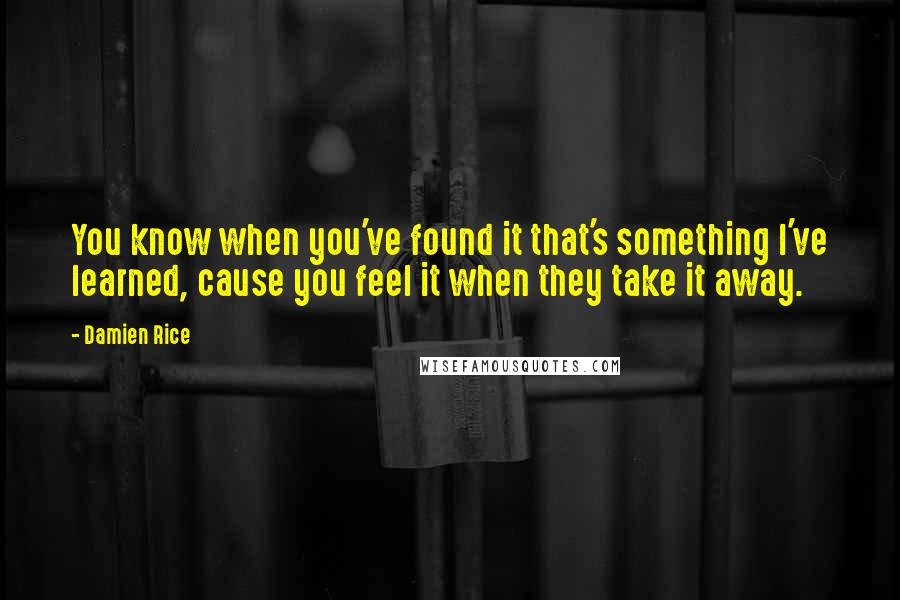 Damien Rice Quotes: You know when you've found it that's something I've learned, cause you feel it when they take it away.