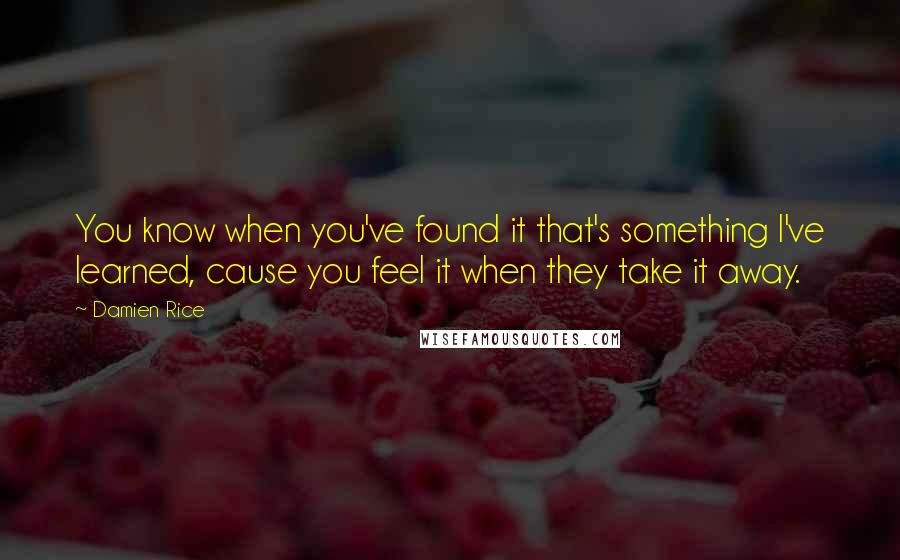 Damien Rice Quotes: You know when you've found it that's something I've learned, cause you feel it when they take it away.