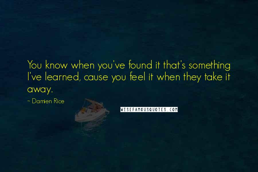 Damien Rice Quotes: You know when you've found it that's something I've learned, cause you feel it when they take it away.