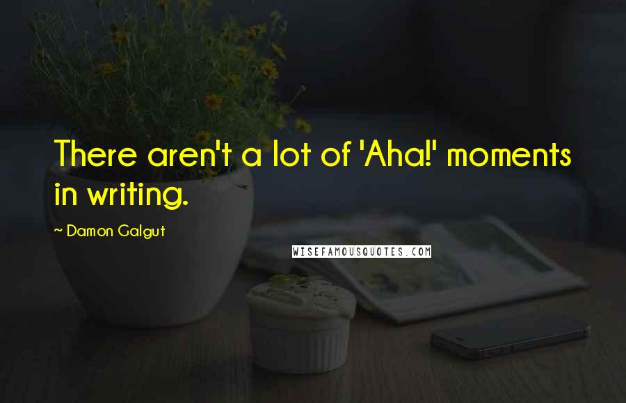 Damon Galgut Quotes: There aren't a lot of 'Aha!' moments in writing.