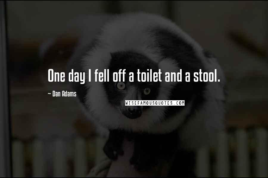 Dan Adams Quotes: One day I fell off a toilet and a stool.