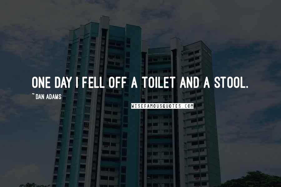 Dan Adams Quotes: One day I fell off a toilet and a stool.