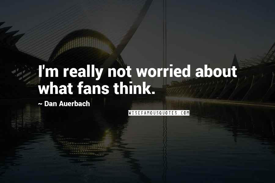 Dan Auerbach Quotes: I'm really not worried about what fans think.