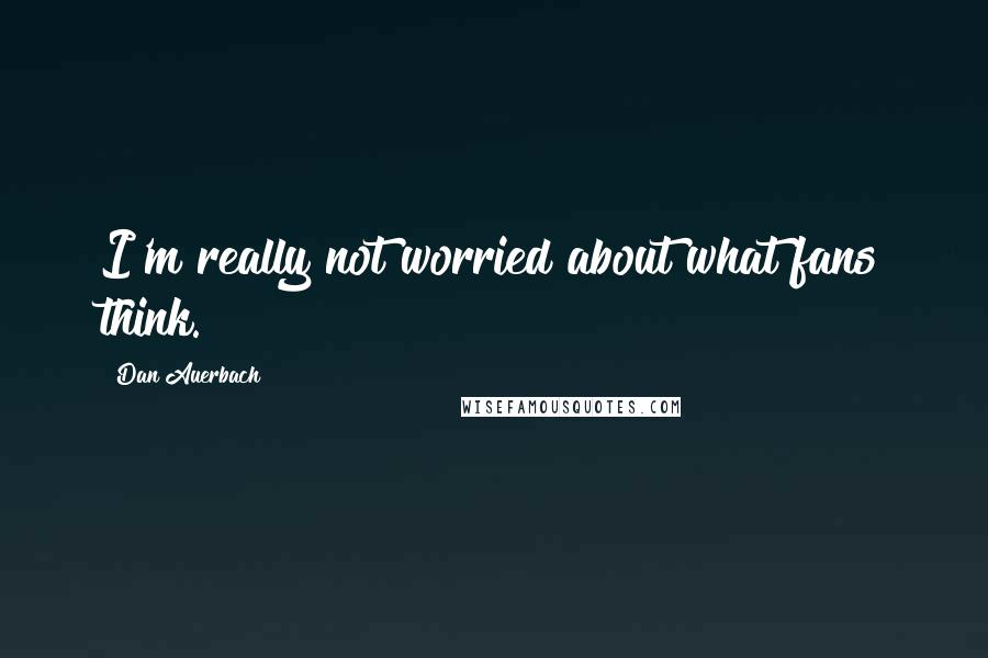 Dan Auerbach Quotes: I'm really not worried about what fans think.