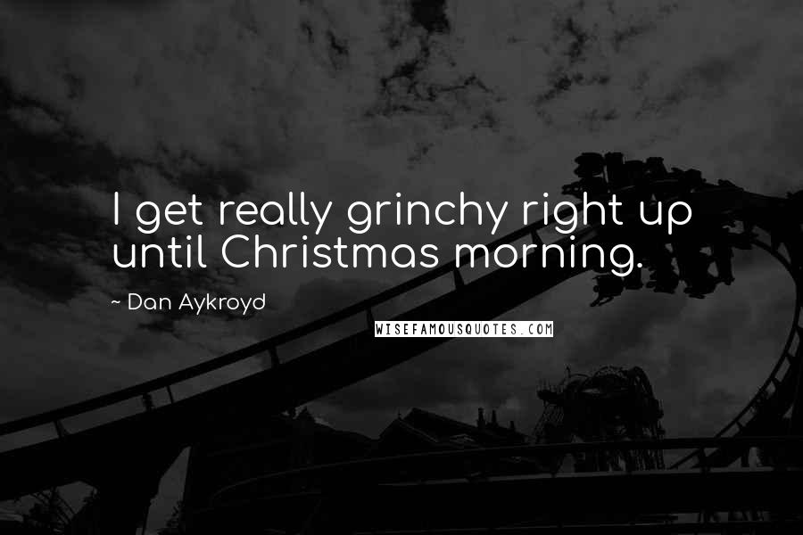 Dan Aykroyd Quotes: I get really grinchy right up until Christmas morning.