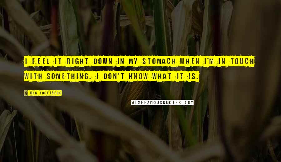 Dan Fogelberg Quotes: I feel it right down in my stomach when I'm in touch with something. I don't know what it is.