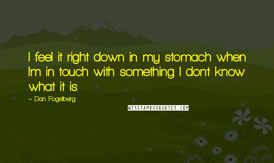 Dan Fogelberg Quotes: I feel it right down in my stomach when I'm in touch with something. I don't know what it is.