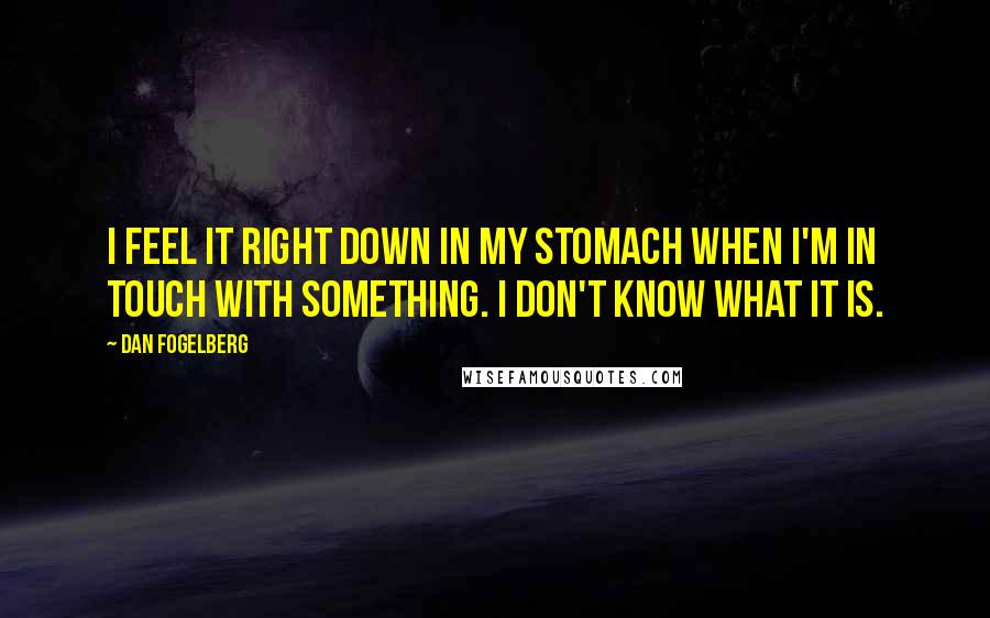 Dan Fogelberg Quotes: I feel it right down in my stomach when I'm in touch with something. I don't know what it is.