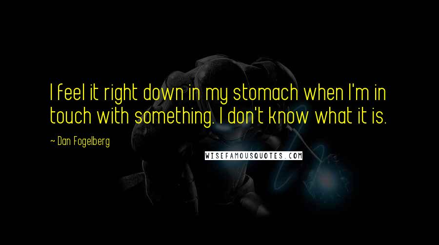 Dan Fogelberg Quotes: I feel it right down in my stomach when I'm in touch with something. I don't know what it is.