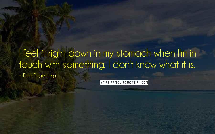 Dan Fogelberg Quotes: I feel it right down in my stomach when I'm in touch with something. I don't know what it is.