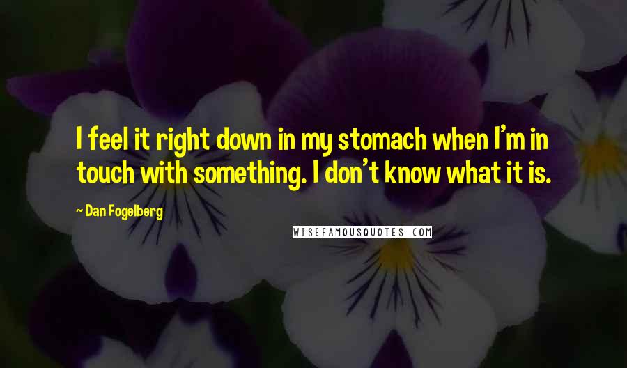 Dan Fogelberg Quotes: I feel it right down in my stomach when I'm in touch with something. I don't know what it is.