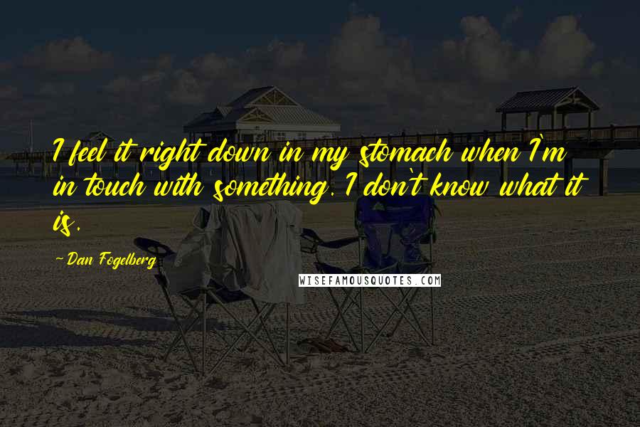 Dan Fogelberg Quotes: I feel it right down in my stomach when I'm in touch with something. I don't know what it is.