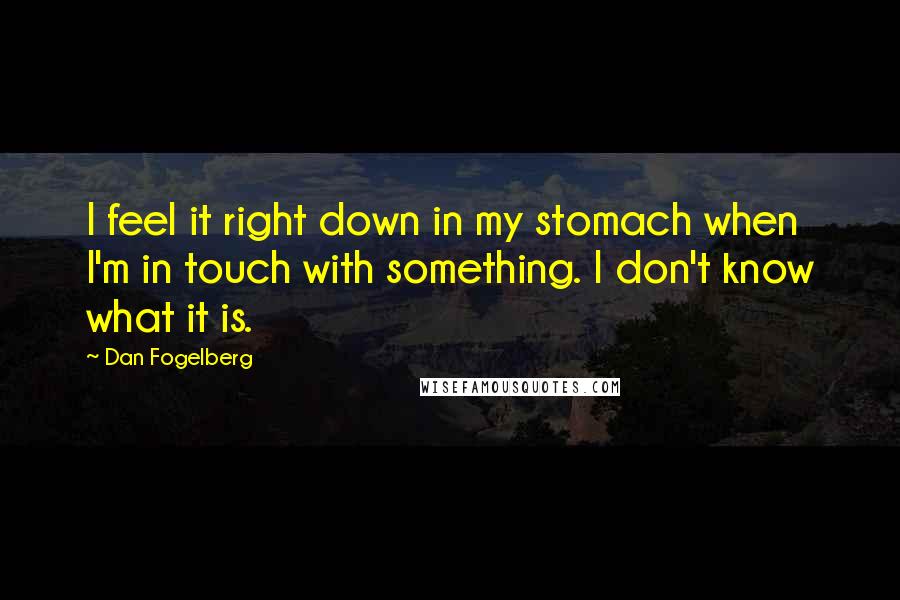 Dan Fogelberg Quotes: I feel it right down in my stomach when I'm in touch with something. I don't know what it is.