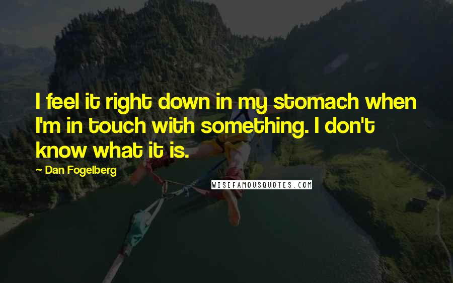 Dan Fogelberg Quotes: I feel it right down in my stomach when I'm in touch with something. I don't know what it is.