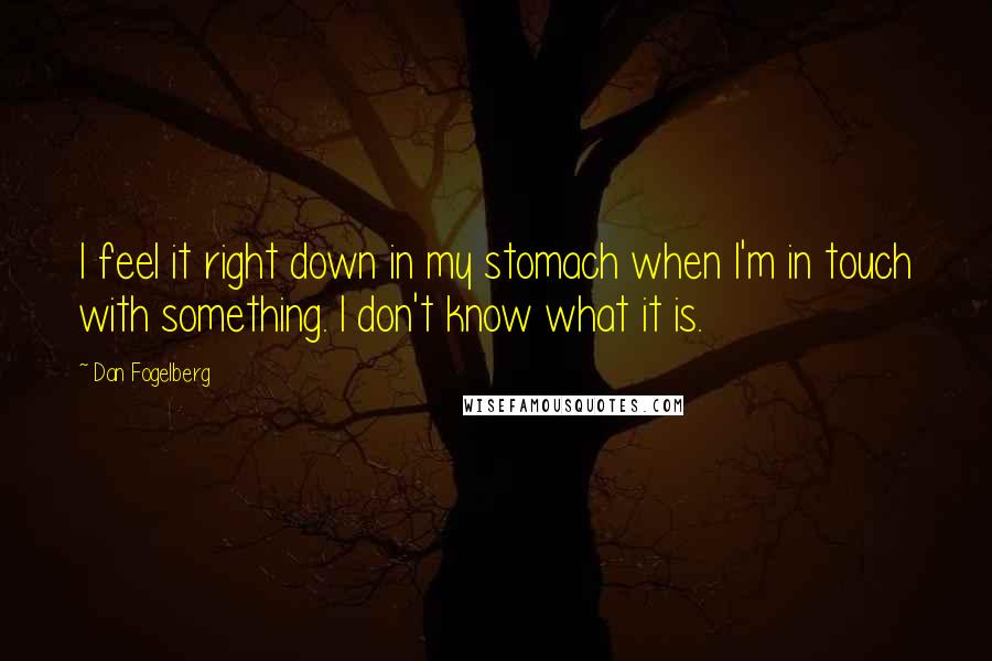 Dan Fogelberg Quotes: I feel it right down in my stomach when I'm in touch with something. I don't know what it is.