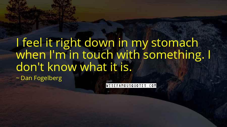 Dan Fogelberg Quotes: I feel it right down in my stomach when I'm in touch with something. I don't know what it is.