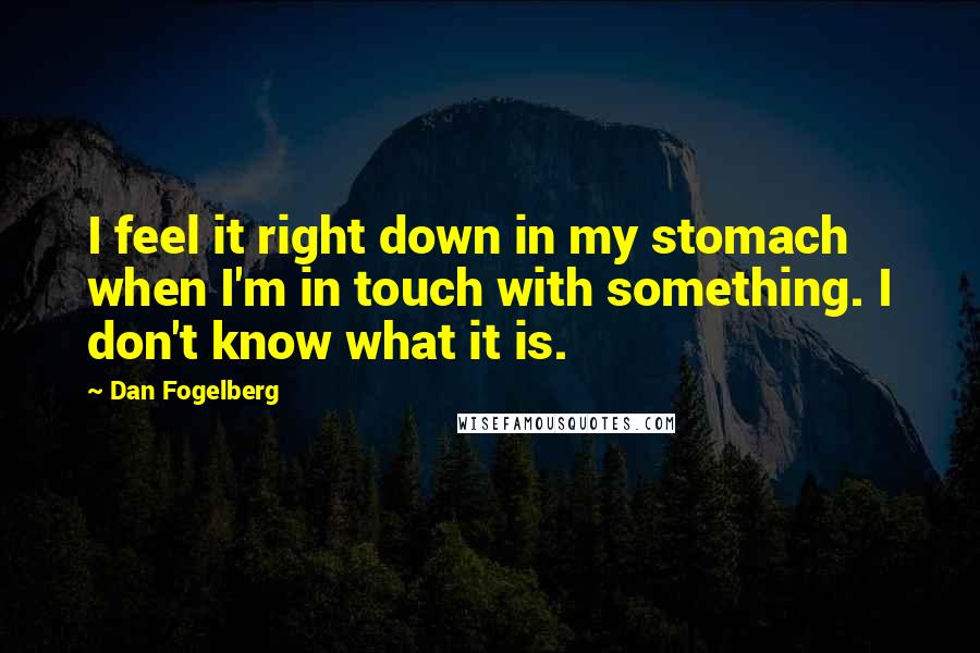 Dan Fogelberg Quotes: I feel it right down in my stomach when I'm in touch with something. I don't know what it is.