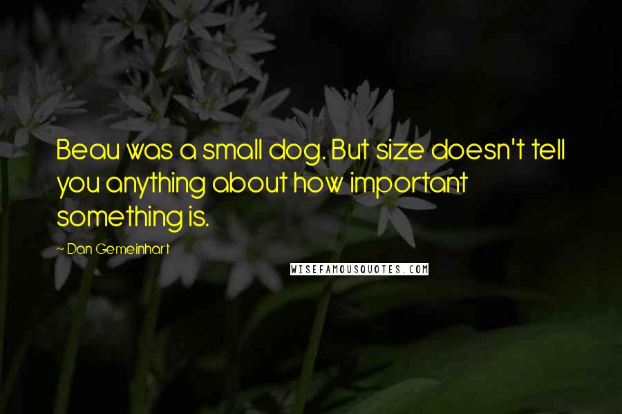 Dan Gemeinhart Quotes: Beau was a small dog. But size doesn't tell you anything about how important something is.