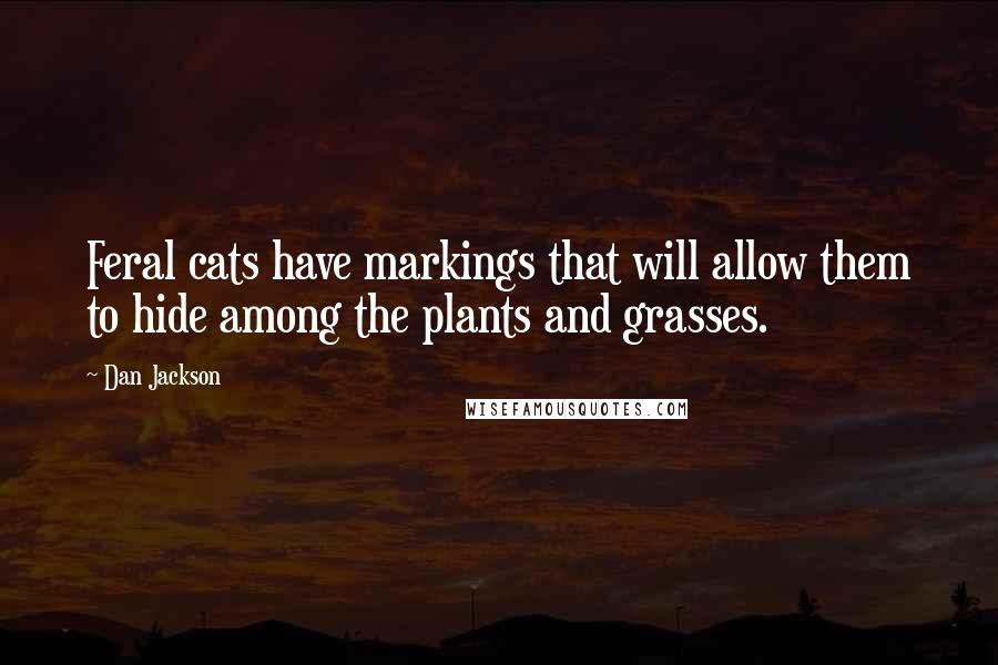 Dan Jackson Quotes: Feral cats have markings that will allow them to hide among the plants and grasses.