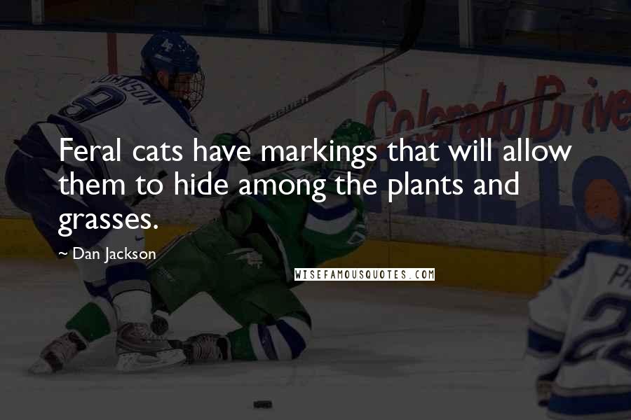 Dan Jackson Quotes: Feral cats have markings that will allow them to hide among the plants and grasses.