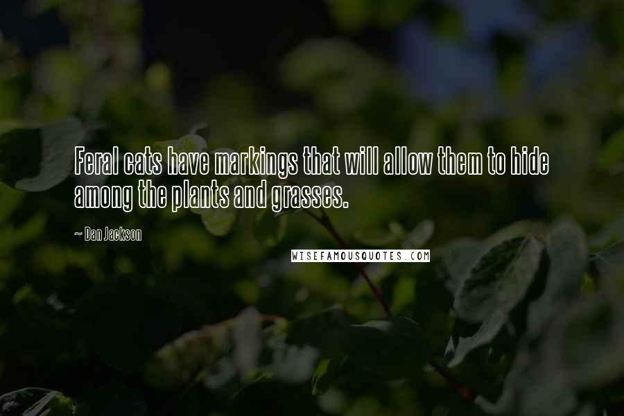 Dan Jackson Quotes: Feral cats have markings that will allow them to hide among the plants and grasses.