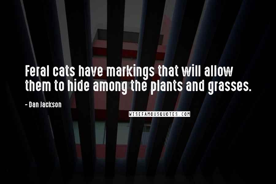 Dan Jackson Quotes: Feral cats have markings that will allow them to hide among the plants and grasses.