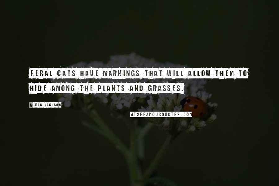 Dan Jackson Quotes: Feral cats have markings that will allow them to hide among the plants and grasses.