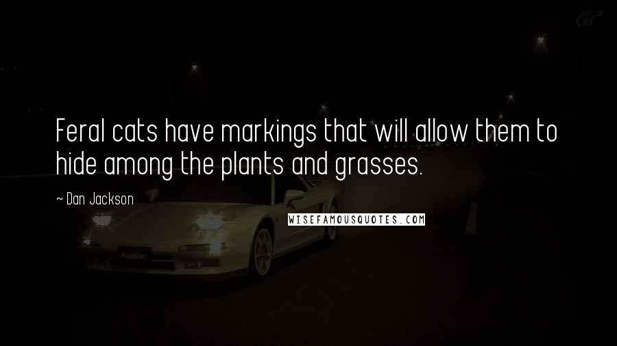 Dan Jackson Quotes: Feral cats have markings that will allow them to hide among the plants and grasses.