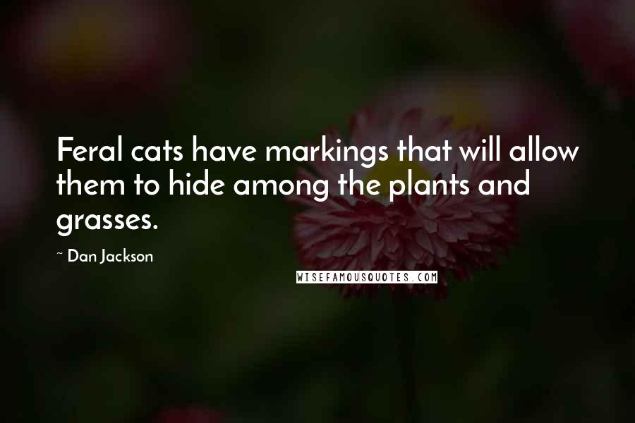 Dan Jackson Quotes: Feral cats have markings that will allow them to hide among the plants and grasses.
