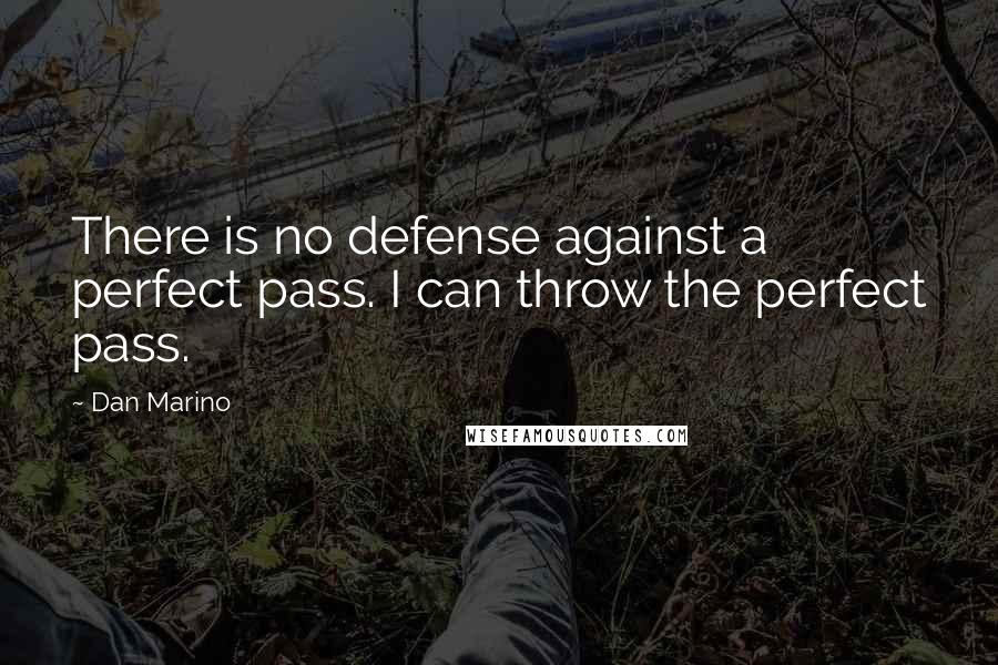 Dan Marino Quotes: There is no defense against a perfect pass. I can throw the perfect pass.