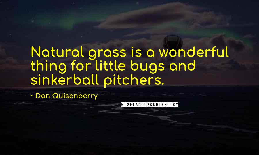 Dan Quisenberry Quotes: Natural grass is a wonderful thing for little bugs and sinkerball pitchers.