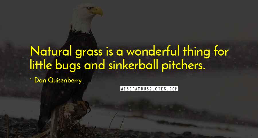 Dan Quisenberry Quotes: Natural grass is a wonderful thing for little bugs and sinkerball pitchers.