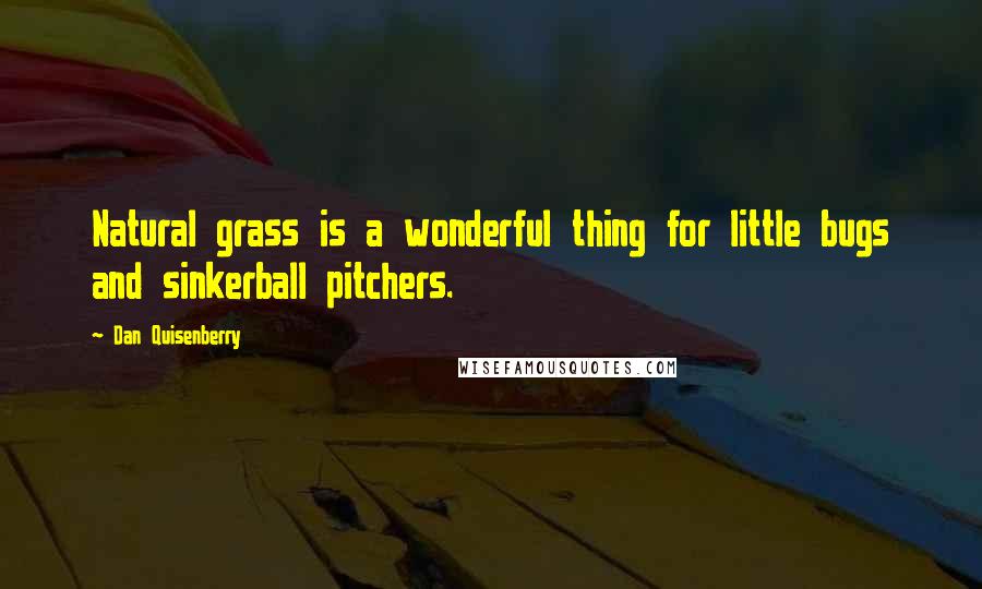 Dan Quisenberry Quotes: Natural grass is a wonderful thing for little bugs and sinkerball pitchers.