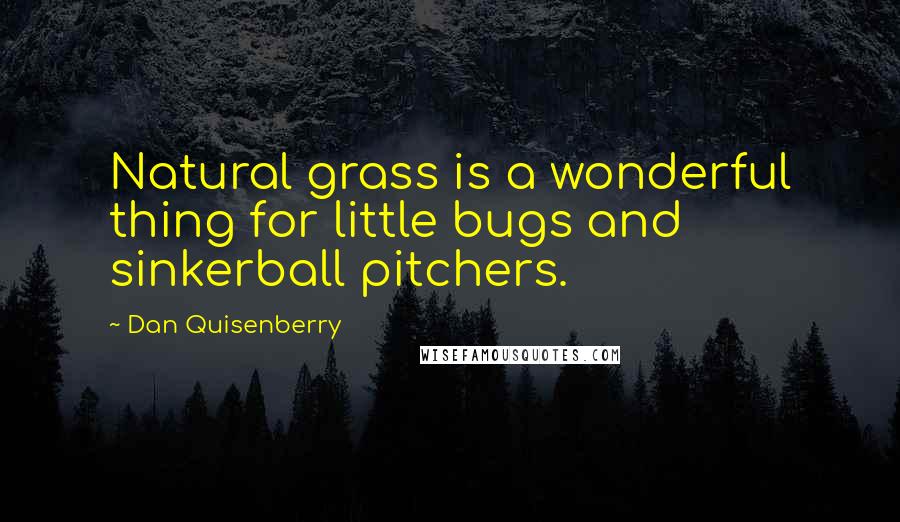 Dan Quisenberry Quotes: Natural grass is a wonderful thing for little bugs and sinkerball pitchers.