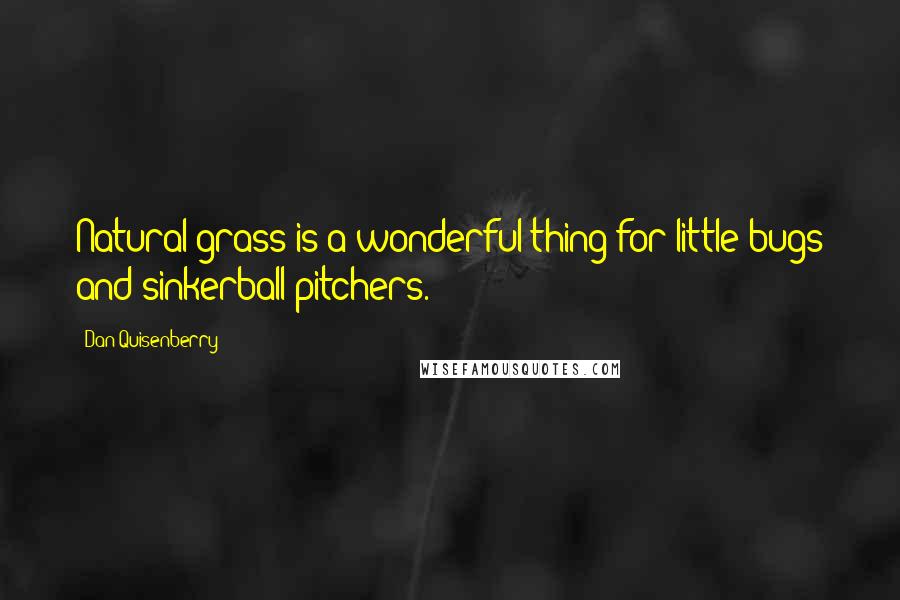 Dan Quisenberry Quotes: Natural grass is a wonderful thing for little bugs and sinkerball pitchers.