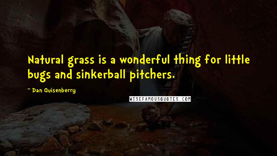 Dan Quisenberry Quotes: Natural grass is a wonderful thing for little bugs and sinkerball pitchers.