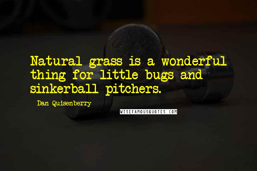 Dan Quisenberry Quotes: Natural grass is a wonderful thing for little bugs and sinkerball pitchers.