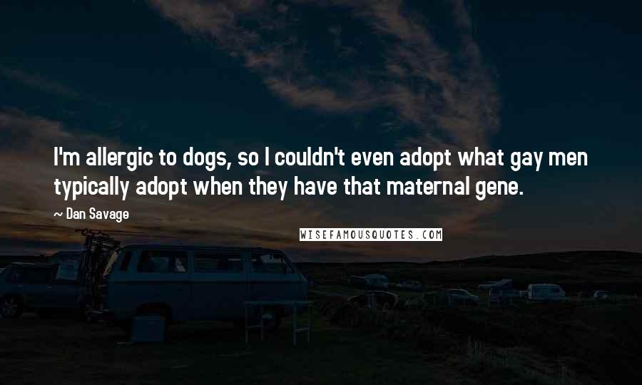 Dan Savage Quotes: I'm allergic to dogs, so I couldn't even adopt what gay men typically adopt when they have that maternal gene.