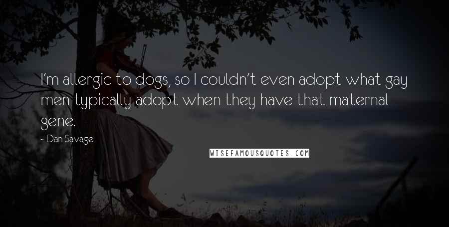 Dan Savage Quotes: I'm allergic to dogs, so I couldn't even adopt what gay men typically adopt when they have that maternal gene.