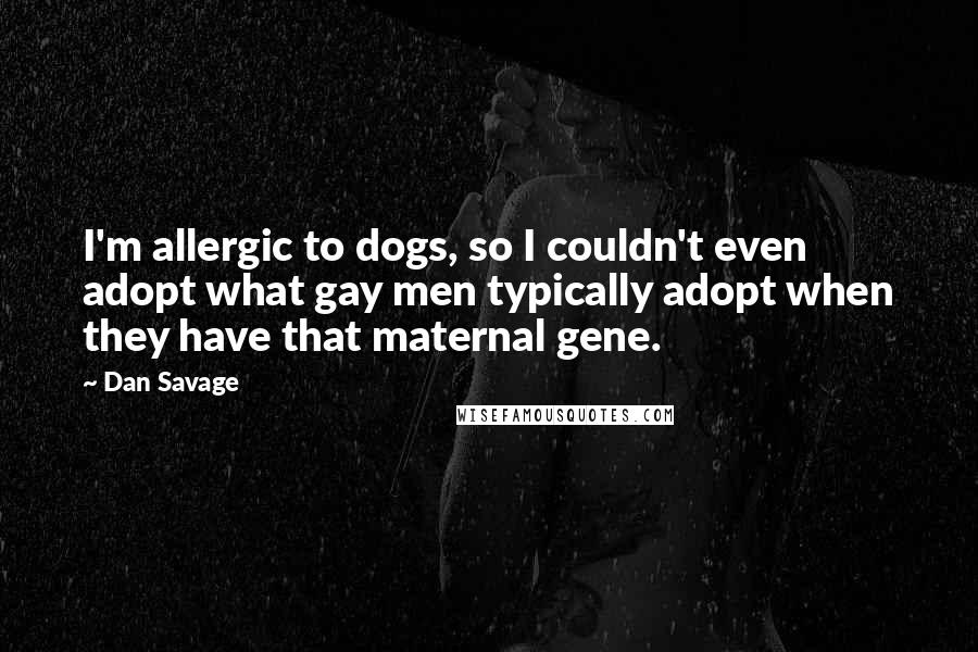 Dan Savage Quotes: I'm allergic to dogs, so I couldn't even adopt what gay men typically adopt when they have that maternal gene.