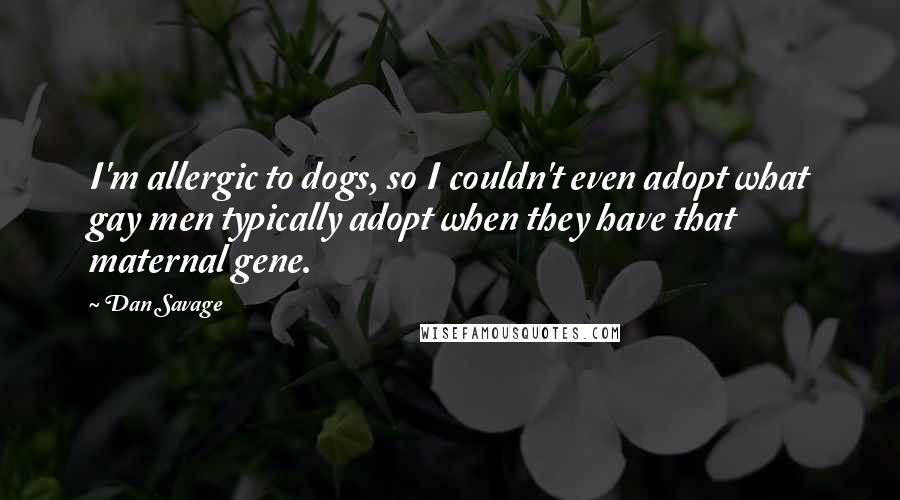 Dan Savage Quotes: I'm allergic to dogs, so I couldn't even adopt what gay men typically adopt when they have that maternal gene.