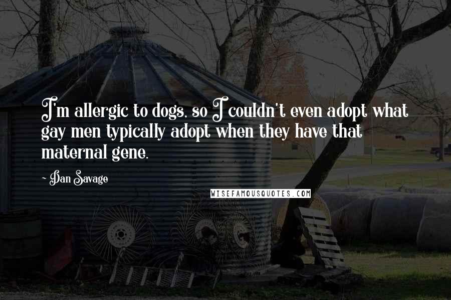 Dan Savage Quotes: I'm allergic to dogs, so I couldn't even adopt what gay men typically adopt when they have that maternal gene.