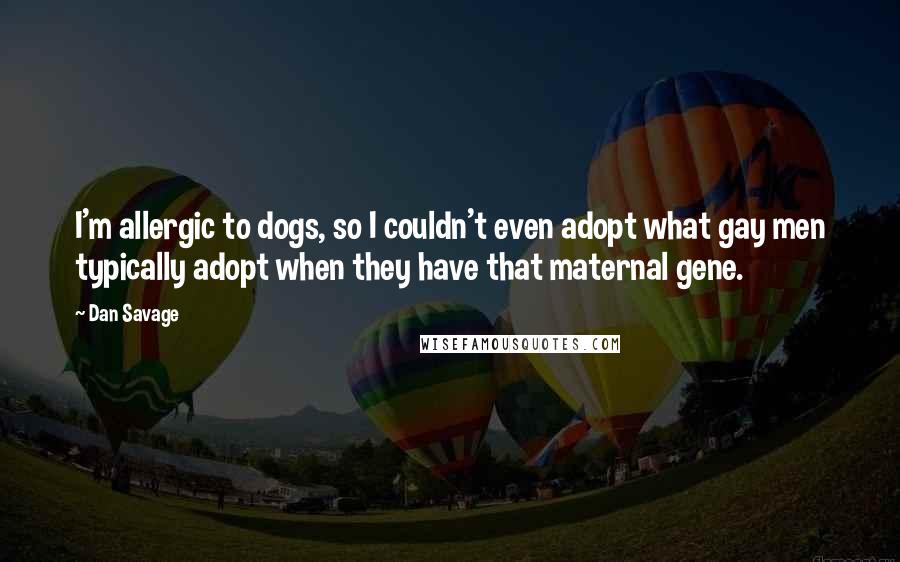 Dan Savage Quotes: I'm allergic to dogs, so I couldn't even adopt what gay men typically adopt when they have that maternal gene.